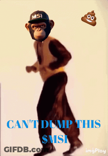Monkey In MSI Hat Dancing GIF