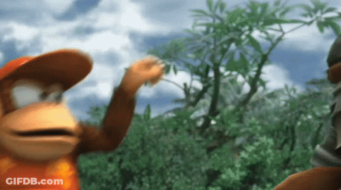 Monkey In Orange Hat Standing In Forest GIF