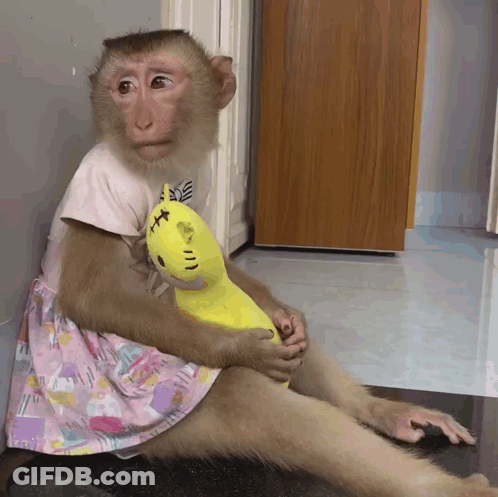 Monkey In Pink Dress Holding Yellow Stuffed Animal GIF