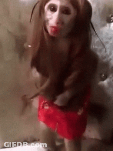 Monkey In Red Dress And Wig GIF
