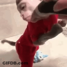 Monkey In Red Outfit Held By Person In Bathroom GIF