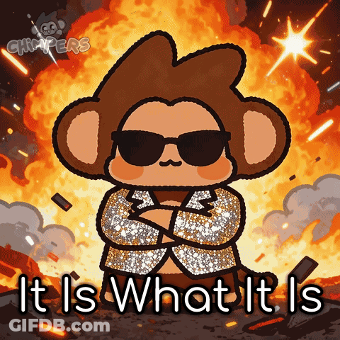 Monkey In Sunglasses And Jacket It Is What It Is GIF