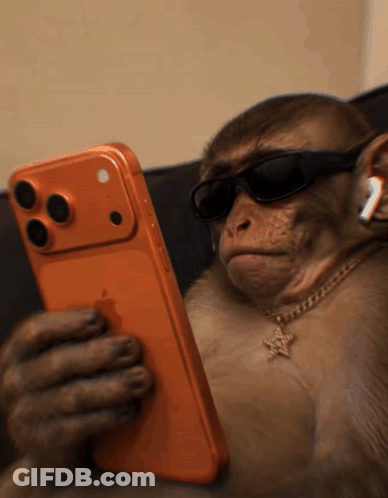 Monkey In Sunglasses And Necklace Holding Orange IPhone GIF