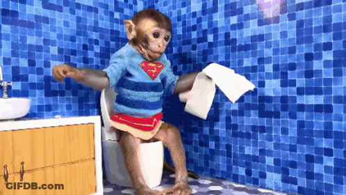 Monkey In Superman Sweater Sitting On Toilet GIF