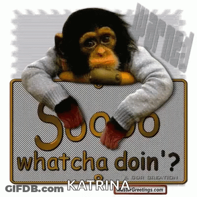 Monkey In Sweater Holding Sign Whatcha Doin GIF