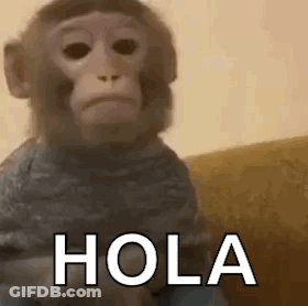 Monkey In Sweater Sitting On Couch GIF