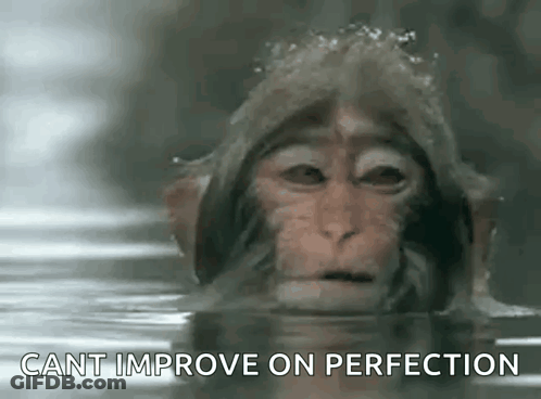 Monkey In Water Cant Improve On Perfection GIF