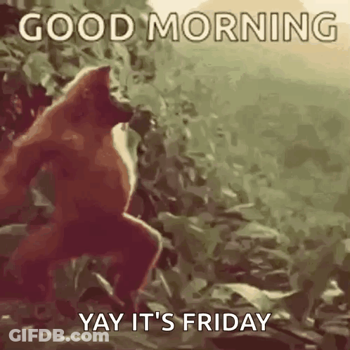 Monkey In Woods Saying Good Morning Yay It's Friday GIF