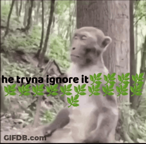 Monkey In Woods Saying He Tryna Ignore It GIF