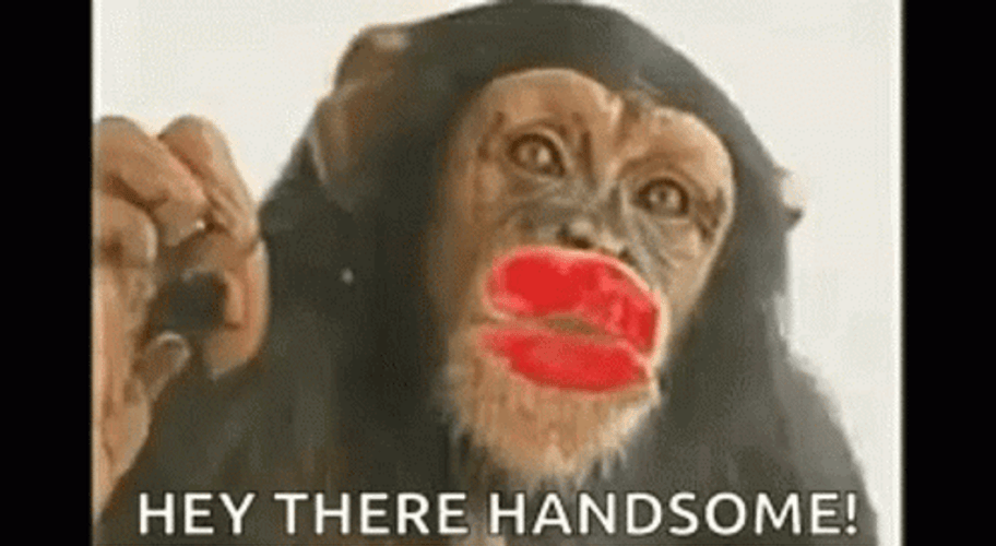 Monkey Kiss Hey There Handsome GIF