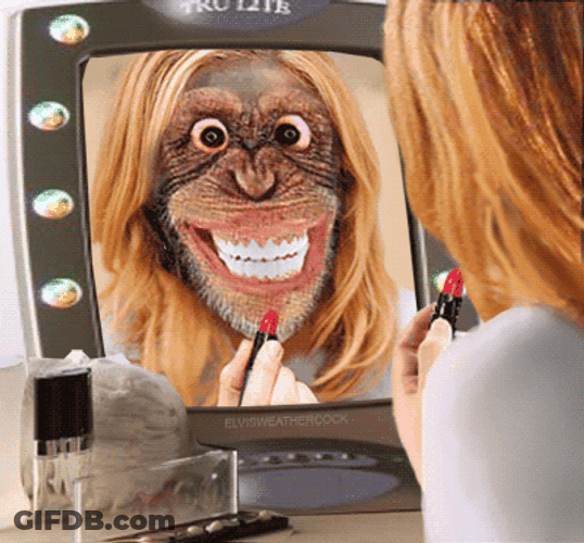 Monkey Kissing After Putting Lipstick On GIF