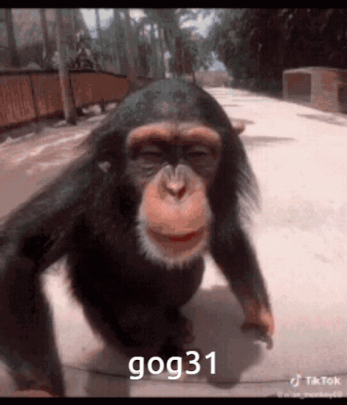 Monkey Kissing Camera GIF