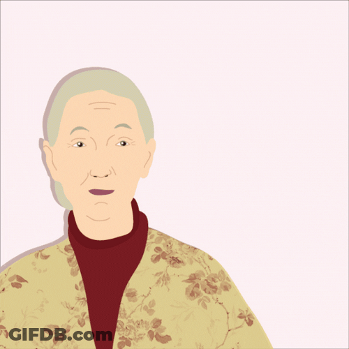 Monkey Kissing Jane Goodal Animation GIF