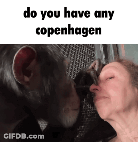 Monkey Kissing Woman's Nose Saying Do You Have Any Copenhagen GIF