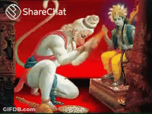 Monkey Kneeling Before Statue Sharechat GIF