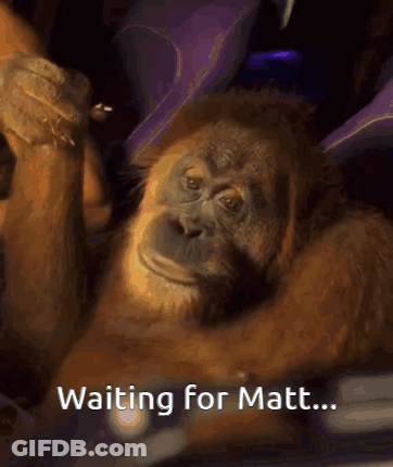 Monkey Laying Down Waiting For Matt GIF