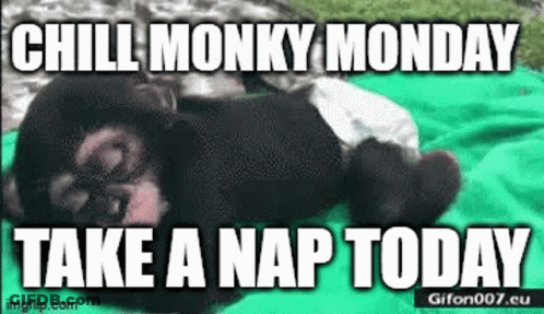 Monkey Laying On Green Blanket With Chill Monky Monday Take A Nap Today GIF