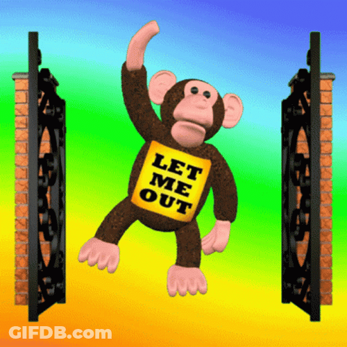 Monkey Let Me Out GIF