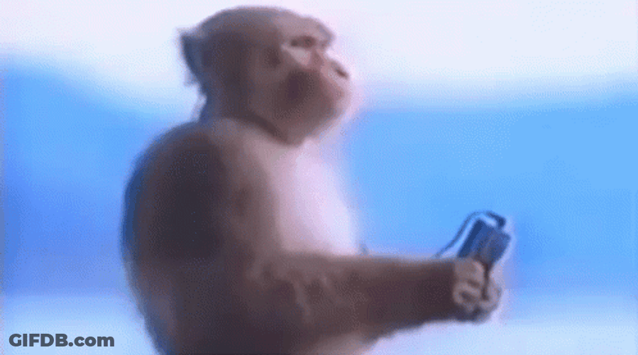 Monkey Listening To Music GIF