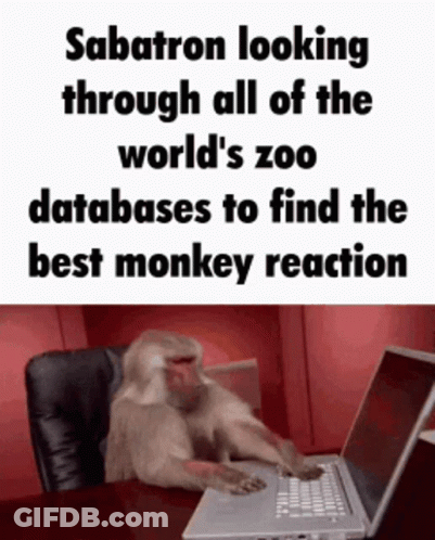 Monkey Looking At Laptop Screen GIF
