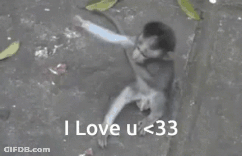 Monkey Loves Hugs I Love You Funny GIF