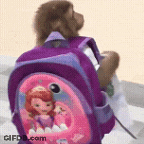 Monkey Macaco GIF