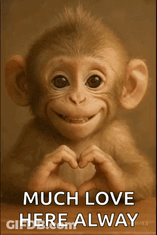 Monkey Making Heart Says Much Love Here Alway GIF