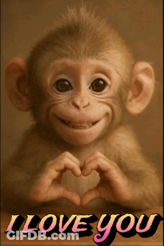 Monkey Making Heart Shape Saying I Love You GIF
