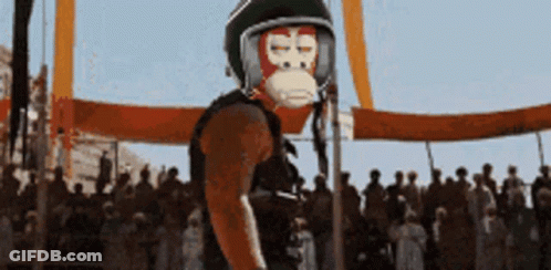 Monkey Mask Man Helmet 68 Crowd GIF