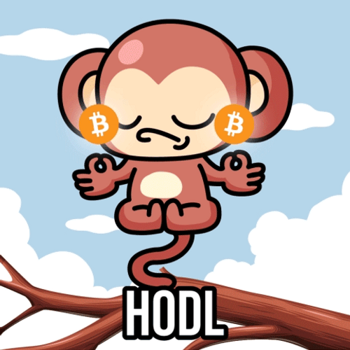 Monkey Meditating Hodl GIF