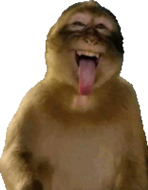 Monkey Meme Sticker GIF