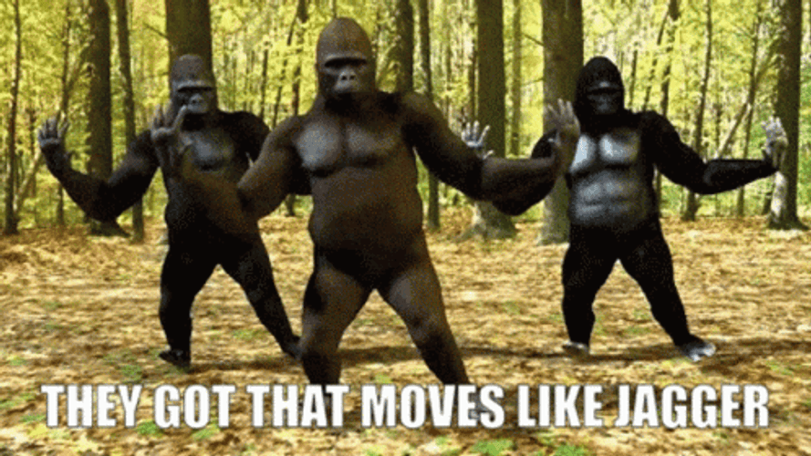 Monkey Moves Like Jagger Dance Meme GIF