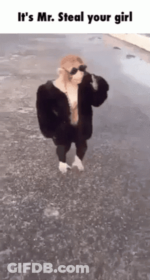 Monkey Mr. Steal Yo Girl GIF