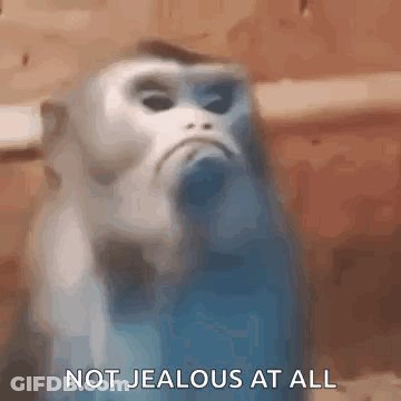 Monkey Not Jealous At All GIF