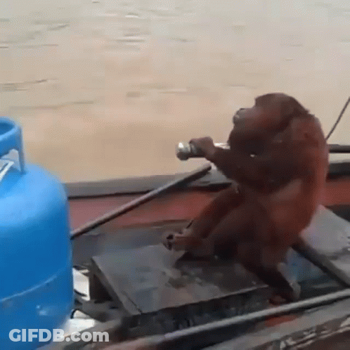 Monkey On Boat Beside Blue Propane Tank GIF