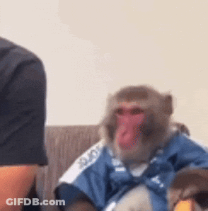 Monkey On Couch Wearing Blue Shirt Saying A GIF