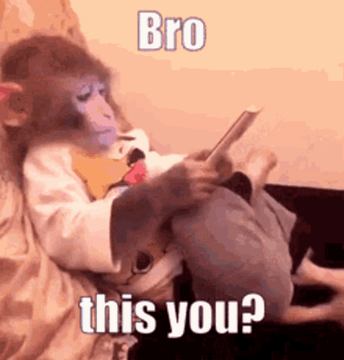 Monkey On IPad GIF