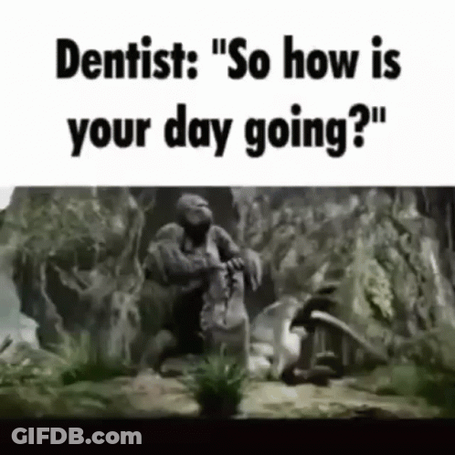 Monkey On Rock Asking Dentist How's Your Day GIF