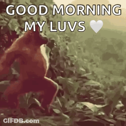 Monkey On Rock Saying Good Morning My Luvs GIF