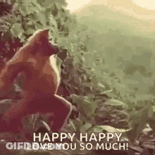 Monkey On Rock Saying Happy Happy Love You So Much GIF