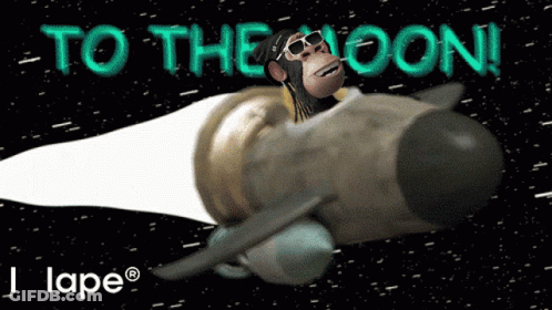 Monkey On Rocket To The Moon GIF