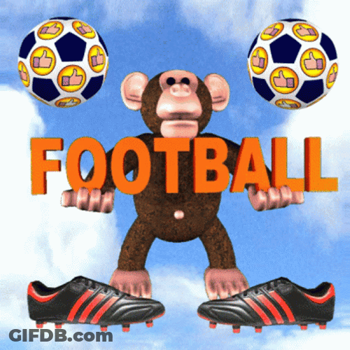 Monkey Player Football Time GIF
