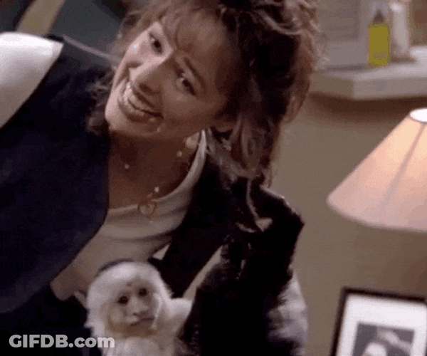 Monkey Pulling Girls Hair GIF