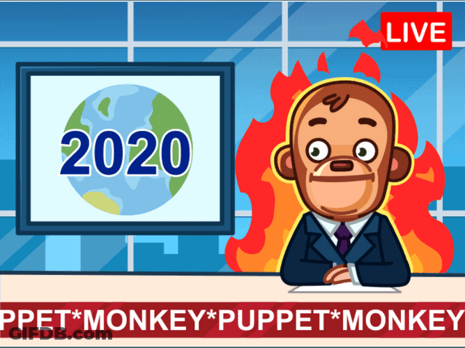 Monkey Puppet News Live Cartoon GIF