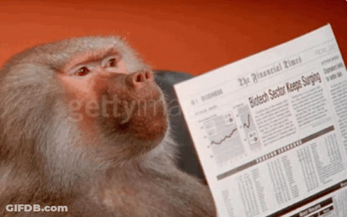 Monkey Reading Financial Times Article On Biotech Sector GIF