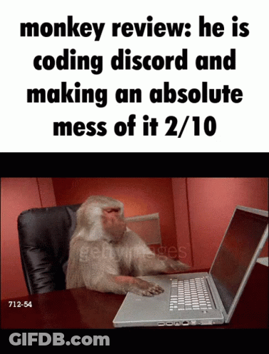 Monkey Review : He Is Coding Discord And Making An Absolute Mess Of It GIF