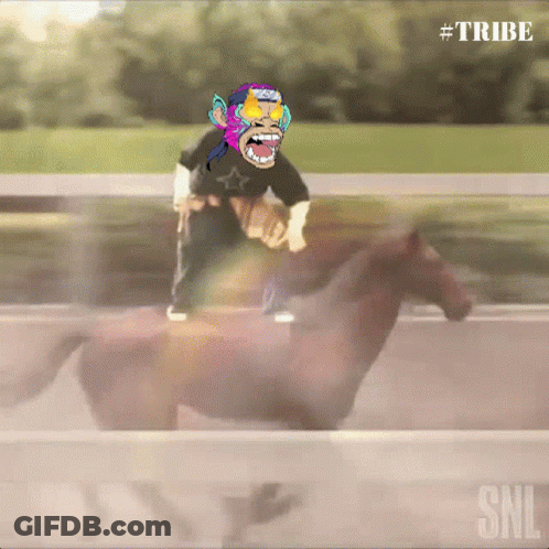 Monkey Riding Horse With SNL Logo GIF