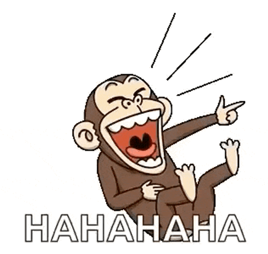 Monkey Rofl GIF