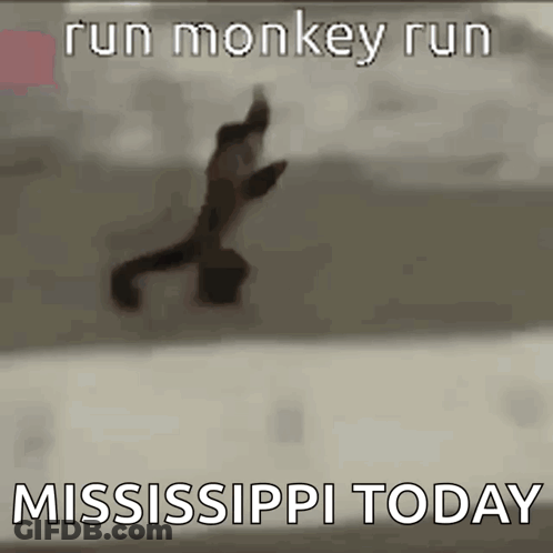 Monkey Running In Air Saying Run Monkey Run Mississippi Today GIF