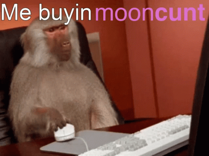 Monkey Rushing For Timesheet Meme GIF